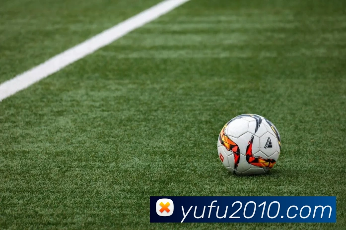 mksports体育APP 封面图